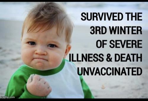 Screenshot_20240320_032339_Instagram