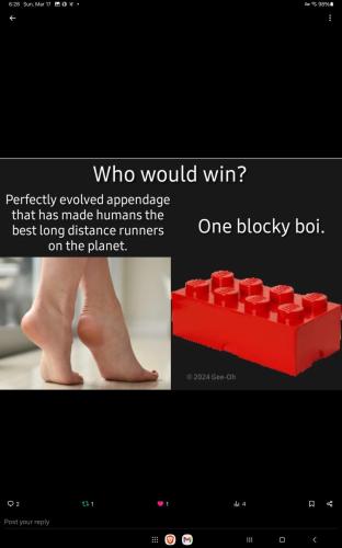 Screenshot_20240317_182825_X