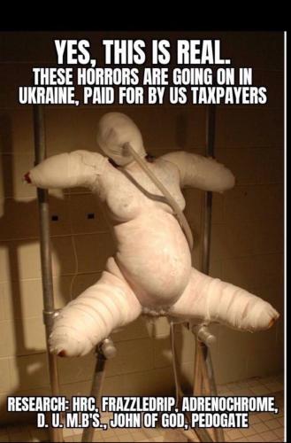 IMG_20240325_054344_910