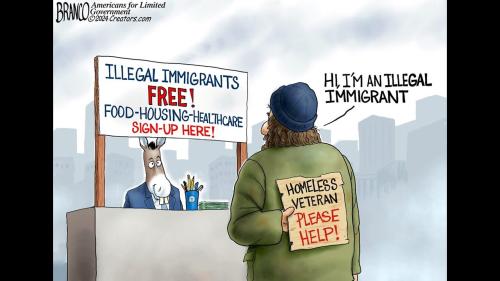 Illegals vs vets