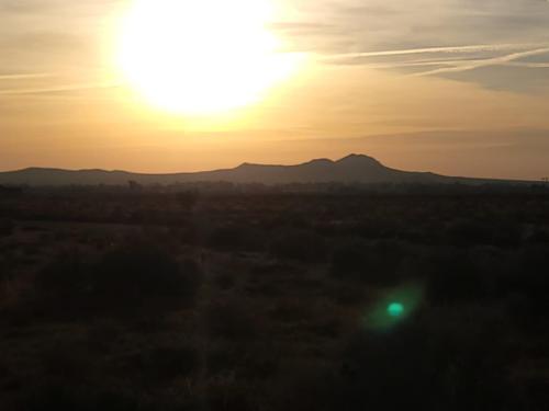 431478214_1305974753432659_2897961506039095203_n