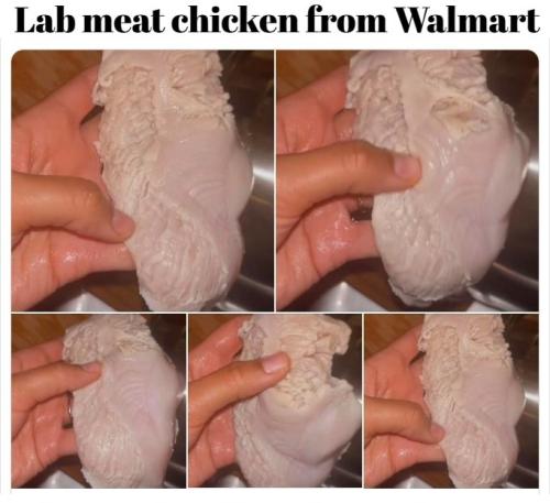 Lab Meat Chicken from Walmart