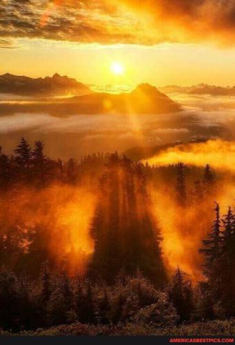 4fd7182b14379f47a831b178a7d2797f2bfec0b4ba350ffee60e931f178c79ff_1