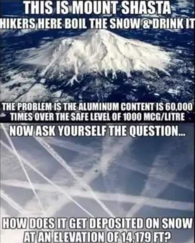 FB_IMG_1708345282809