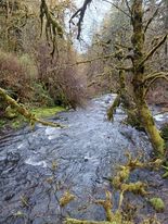 434221161_1593803554808609_480498775941508681_n