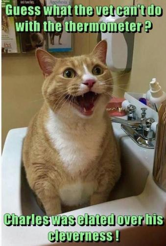 386b6686a1b44c126ae9fff910f35c3c