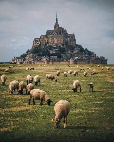 img-d9c3b811