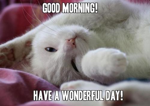 d0b8d13b15ed8764fbeb744623b12eb0