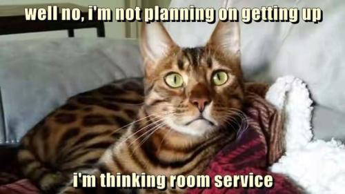 47ffee1ad45fc69dfcc836a3cc44a16b