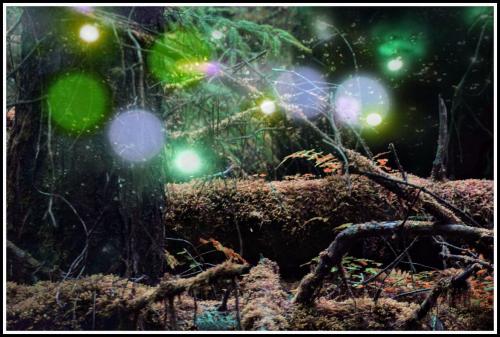 PicsArt_10-18-05.14.42~2