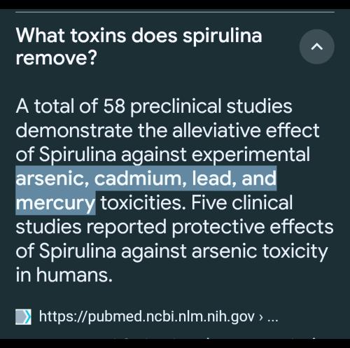 12:49:56 GMT-0500 (EST)