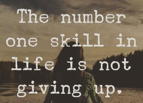 IMG_20240322_044225_391