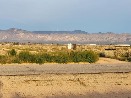 431169932_1305974573432677_5601923109909328775_n