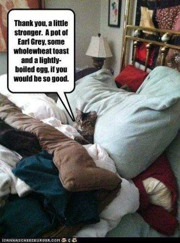 071cd413e84375e14f9ef110c5252e64