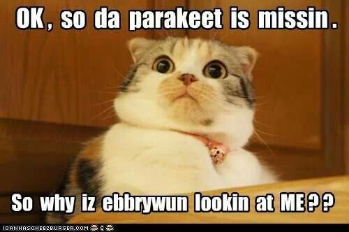 9840df6a3486c37921e930f6ff0da614