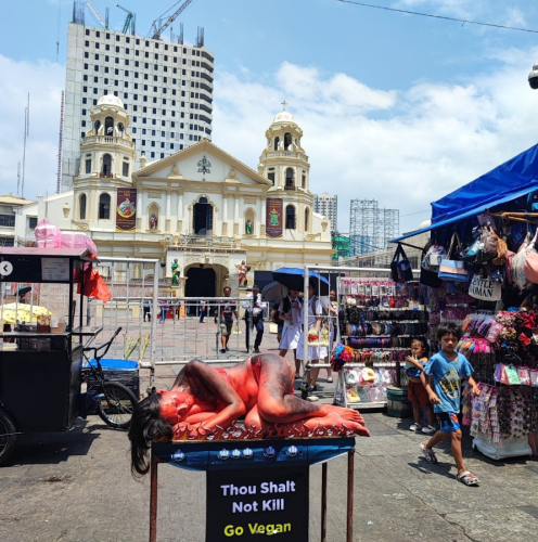 Screenshot 2024-03-26 074755