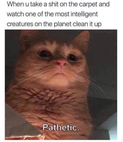 IMG_20240322_074439_591