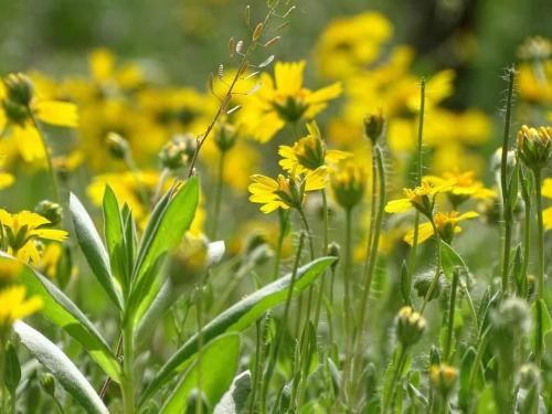 17:52:29 GMT-0500 (CDT)