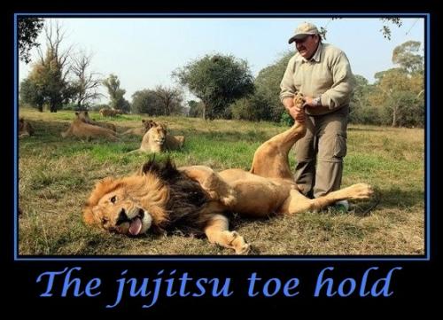 430086_3234189502832_503830384_n - Copy