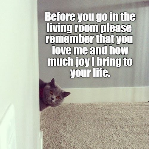 before-go-living-room-please-remember-love-and-much-joy-bring-life