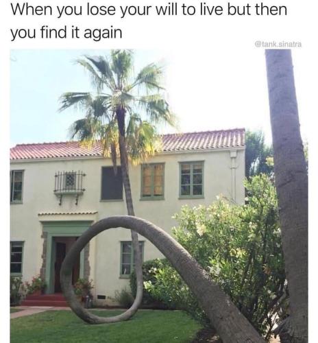 434374637_1075781006872121_2531424351091382793_n
