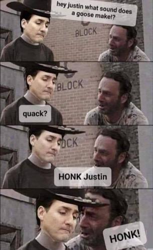 honk