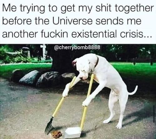 433882367_1925016054579475_2532595559163648690_n