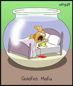 FB_IMG_1710637982869