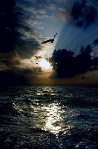 img-e545744b