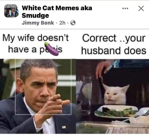 430471570_978023753687429_7141207803237333404_n