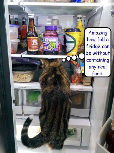 1e0a71bff56f8cd9817b265a6e19eee6