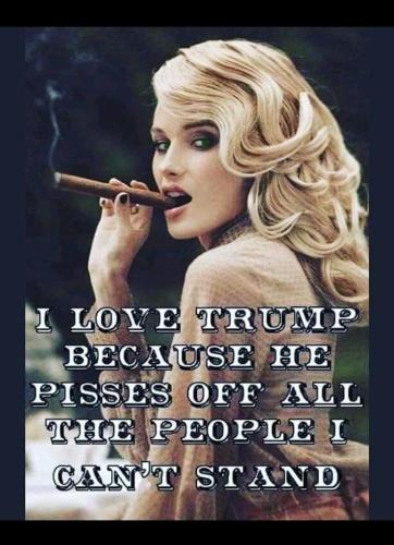 sngine_b55fc18655b1e0162eb8151147c0e0cd