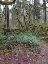 432900210_1582813715835971_19548625021520348_n