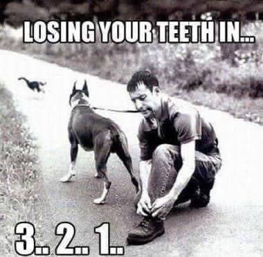 434273485_7970129663017275_7637028041771158639_n