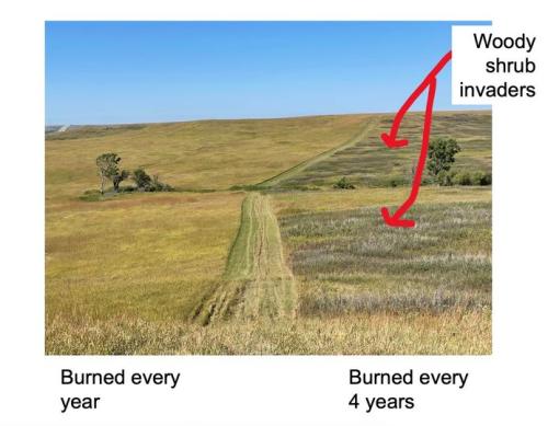 432956018_809441171209574_4860900337565576182_n