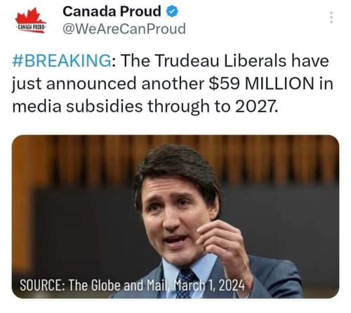 media subsidies