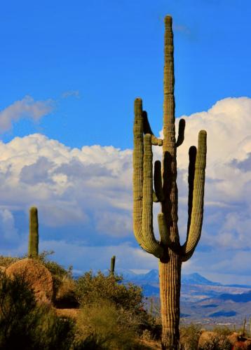 7DB10E99-67C8-49F7-BA64-A334621F9E2B