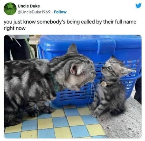 FB_IMG_1709351464227