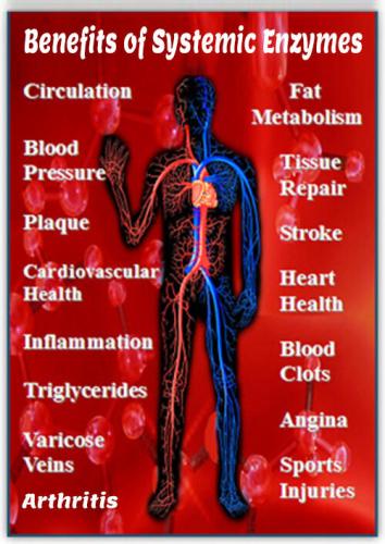 Benefits of systemic enzymes on health