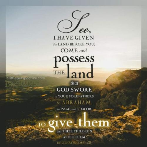 img-f8c64635