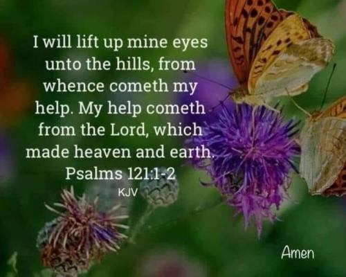 f202d51a-b93d-43b5-89f0-3870ee6e535a