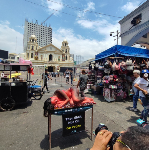 Screenshot 2024-03-26 074712