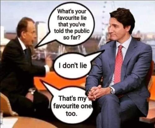 favourite lie