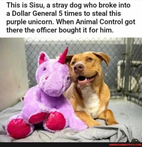 a214eac9b1313c2b7ad496309d138a2bc73edb4ac85a43a49fd9a7f92f187e3b_1