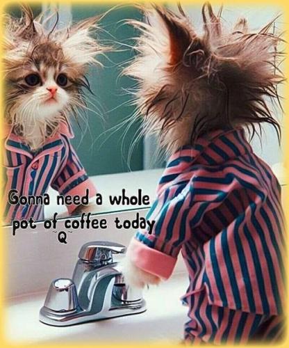 432098728_25987710147495071_3609288709255038730_n