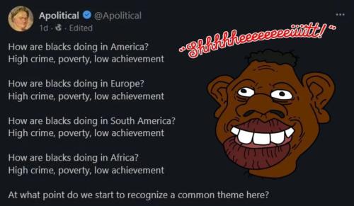 IMG_20240309_125044_174