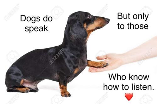 FB_IMG_1709810883910