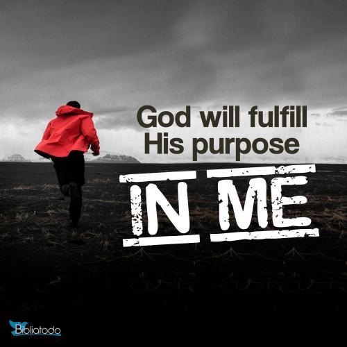 en-img-2208-God-will-fulfill-His-purpose-in-me-286264409