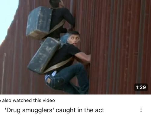 D6116E80-F778-4410-A776-F2B8D02D3811