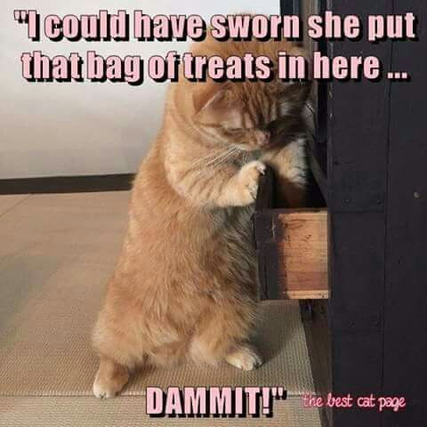 7f7f7db641150ab064877e8425ca425e